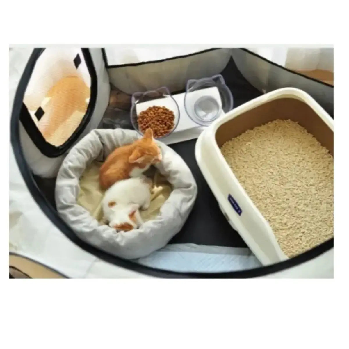 Octagonal Folding Pet Playpen Safe and Spacious